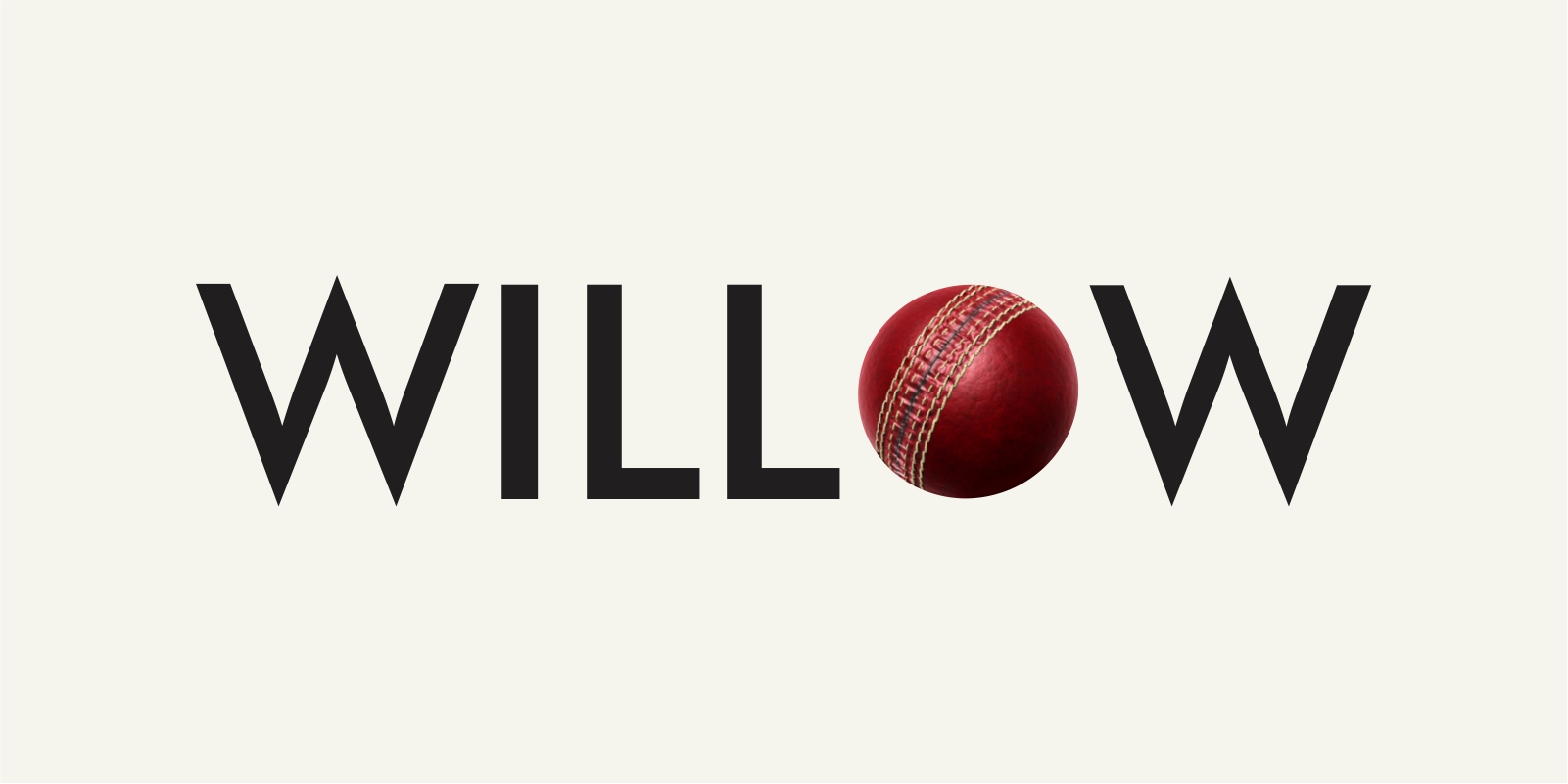 Willow Cricket